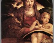 帕尔米贾尼诺 : Madonna and Child